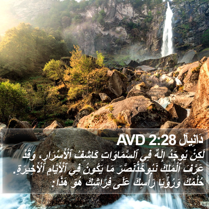 دَانِيآل 2:28 AVD Bible Study