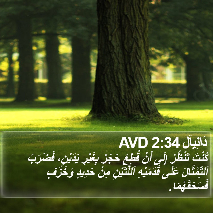 دَانِيآل 2:34 AVD Bible Study