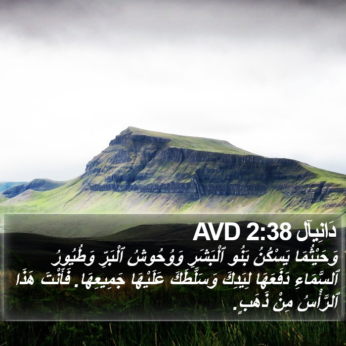 دَانِيآل 2:38 AVD Bible Study