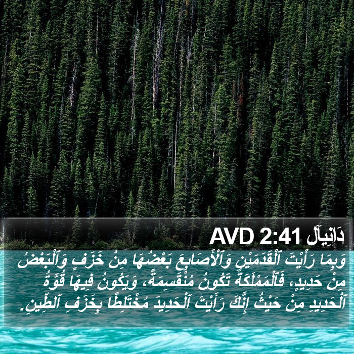 دَانِيآل 2:41 AVD Bible Study