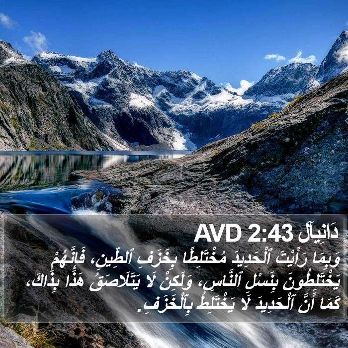 دَانِيآل 2:43 AVD Bible Study