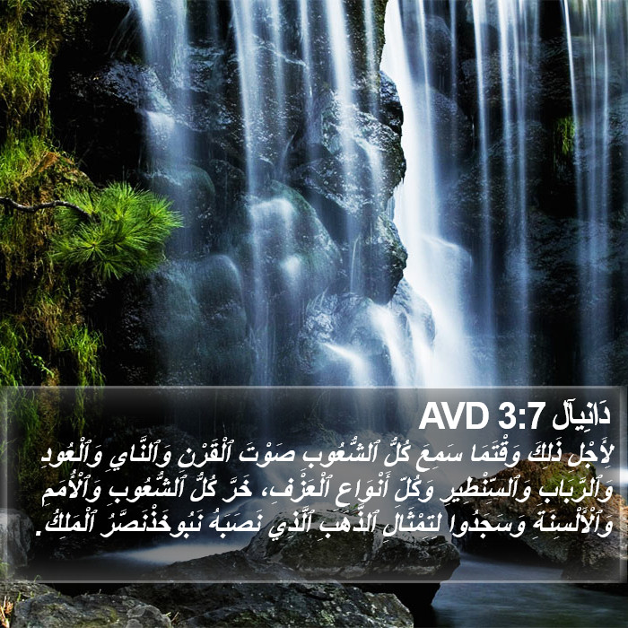 دَانِيآل 3:7 AVD Bible Study