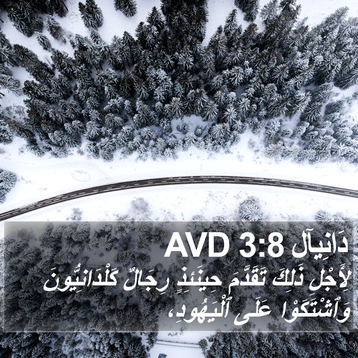 دَانِيآل 3:8 AVD Bible Study