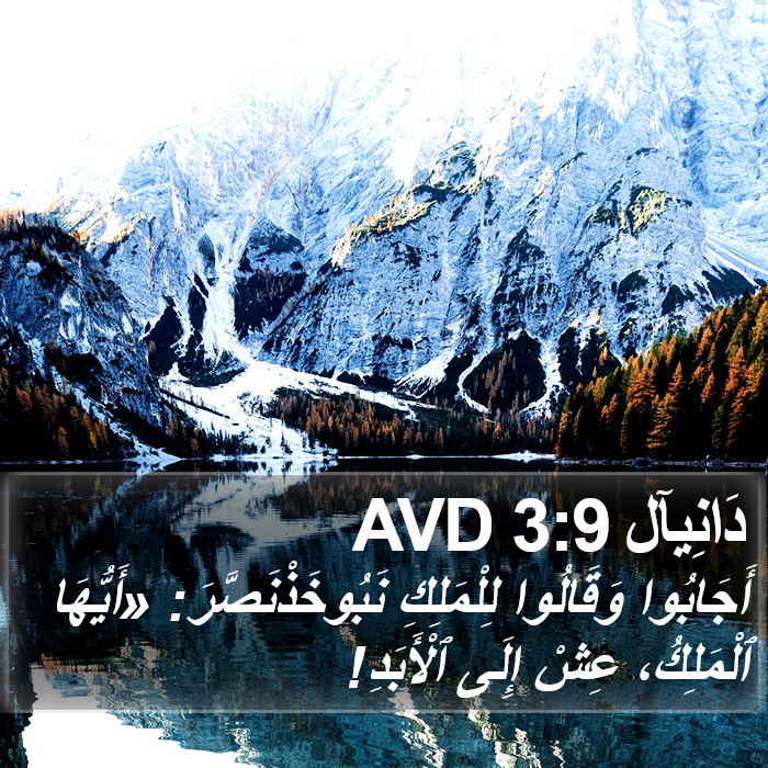 دَانِيآل 3:9 AVD Bible Study
