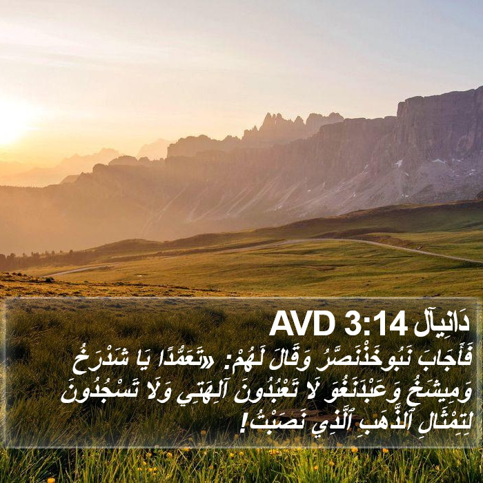 دَانِيآل 3:14 AVD Bible Study