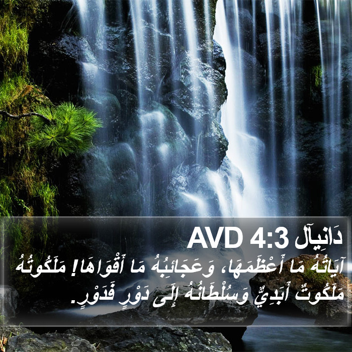 دَانِيآل 4:3 AVD Bible Study