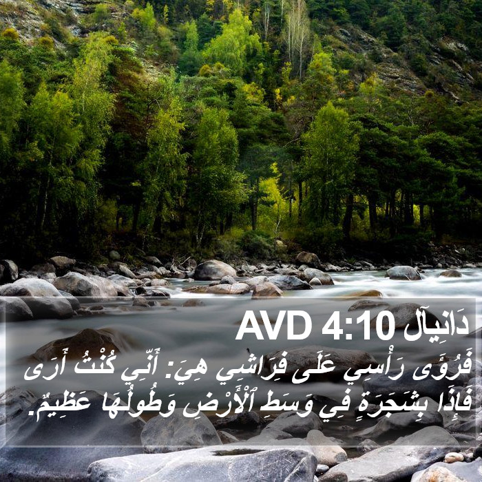 دَانِيآل 4:10 AVD Bible Study