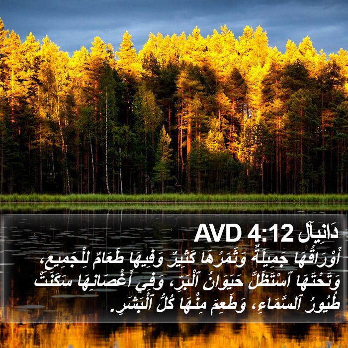 دَانِيآل 4:12 AVD Bible Study