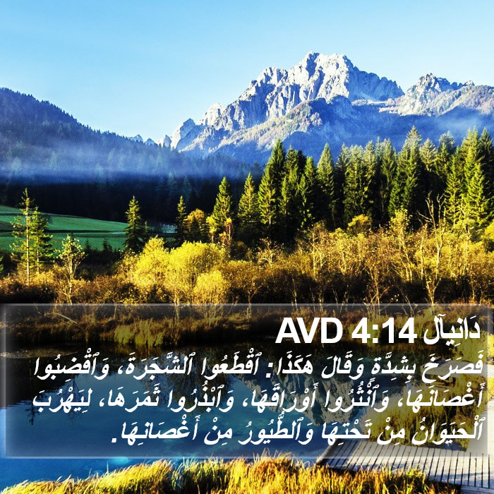 دَانِيآل 4:14 AVD Bible Study