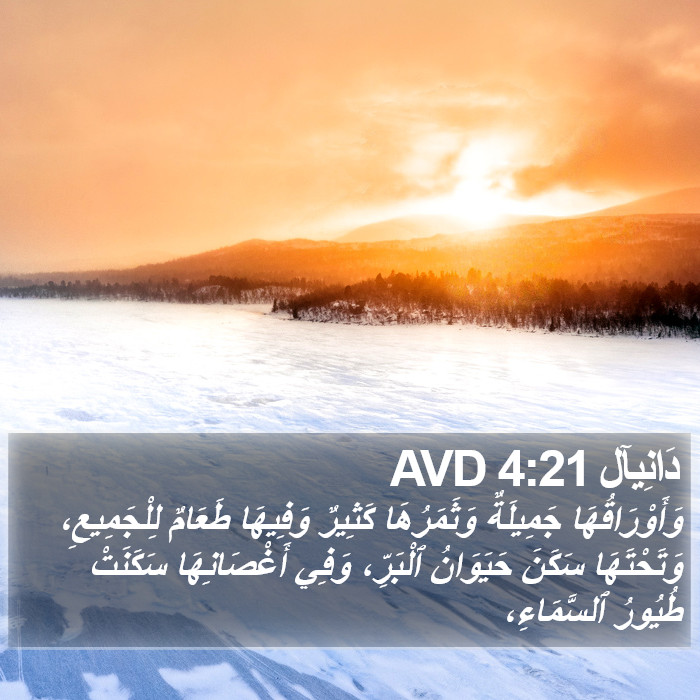 دَانِيآل 4:21 AVD Bible Study