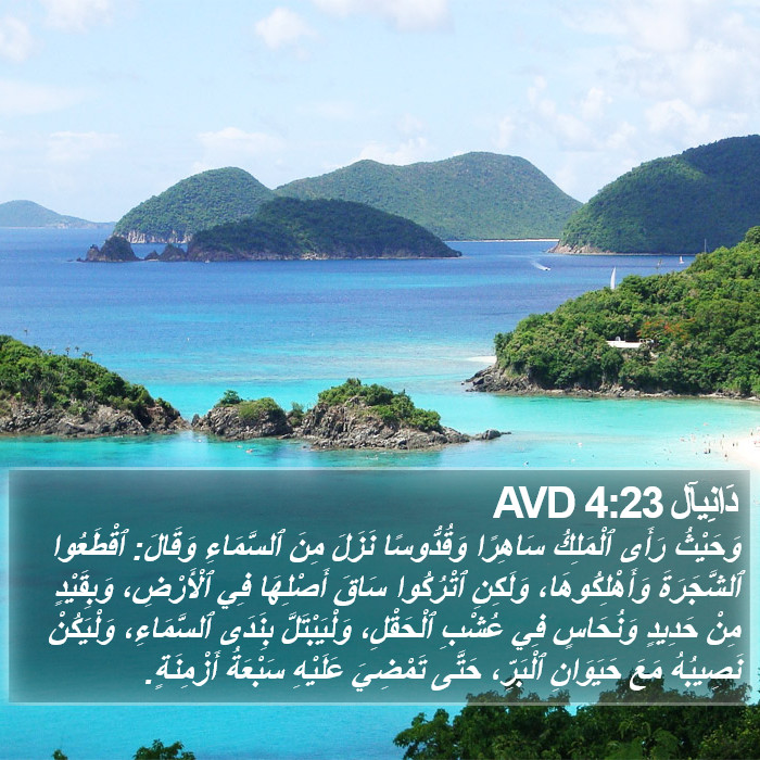 دَانِيآل 4:23 AVD Bible Study