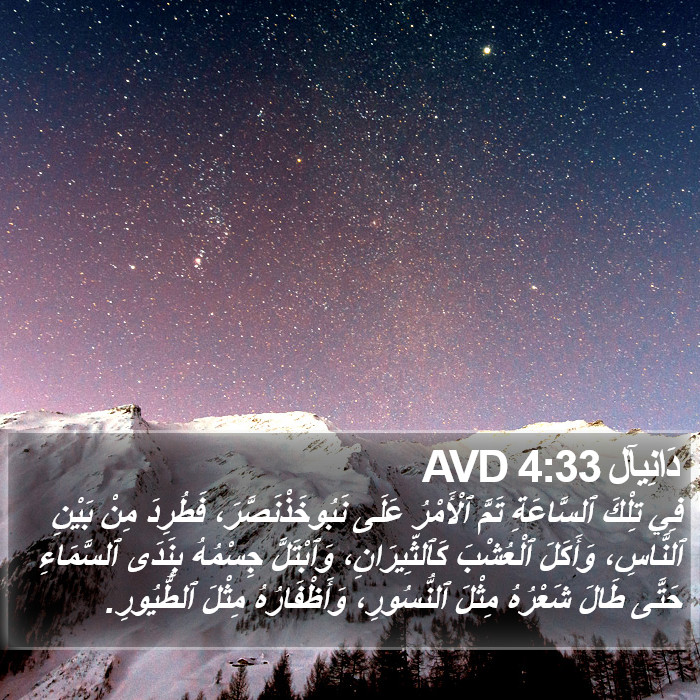 دَانِيآل 4:33 AVD Bible Study