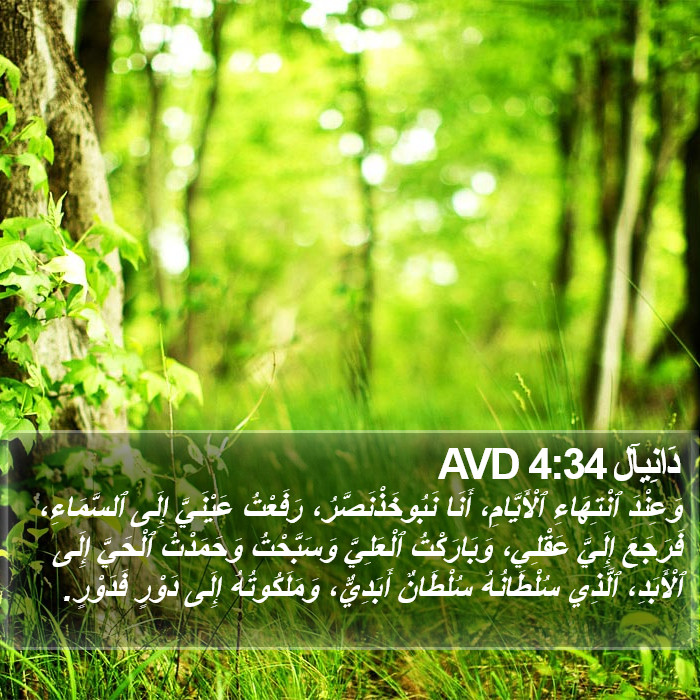 دَانِيآل 4:34 AVD Bible Study