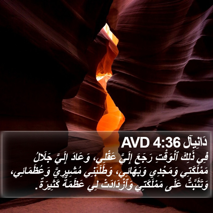 دَانِيآل 4:36 AVD Bible Study