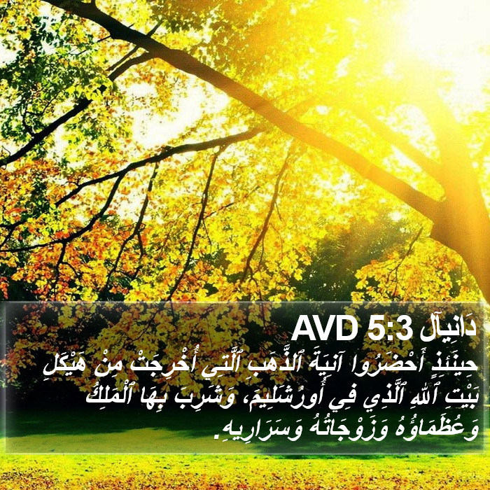 دَانِيآل 5:3 AVD Bible Study