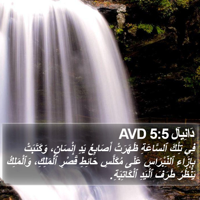 دَانِيآل 5:5 AVD Bible Study