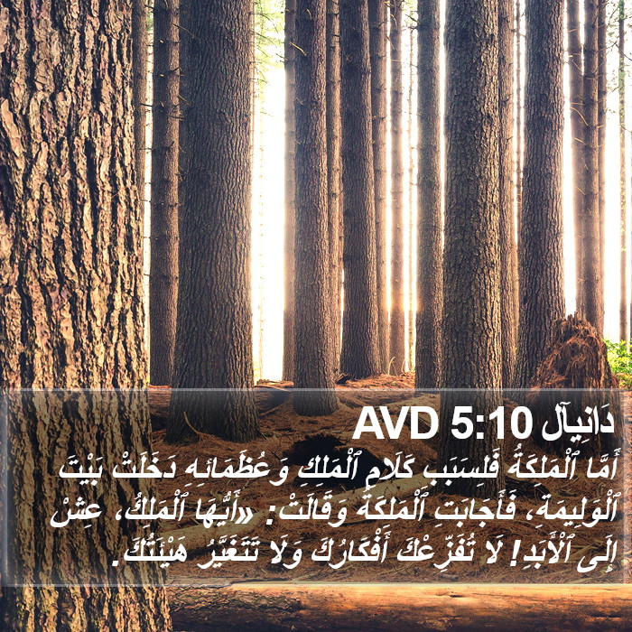 دَانِيآل 5:10 AVD Bible Study