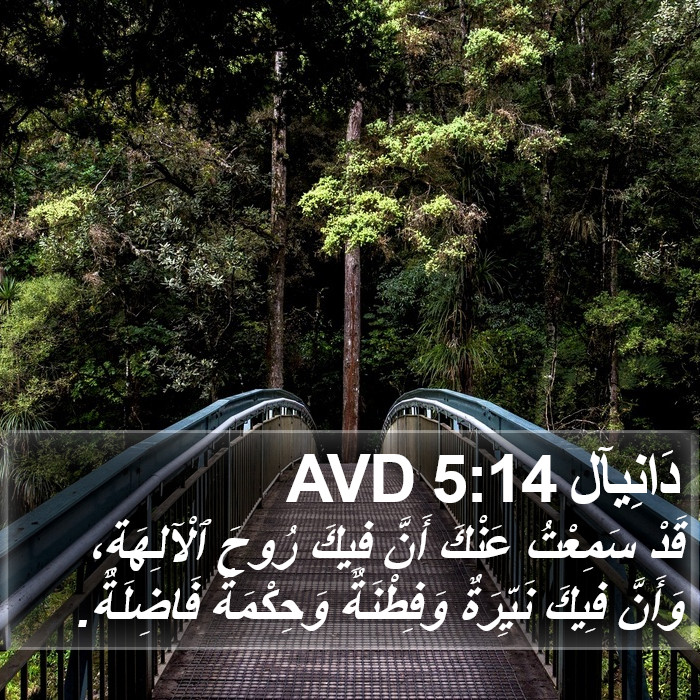 دَانِيآل 5:14 AVD Bible Study