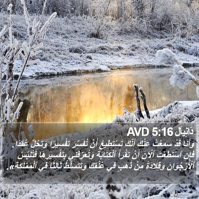 دَانِيآل 5:16 AVD Bible Study