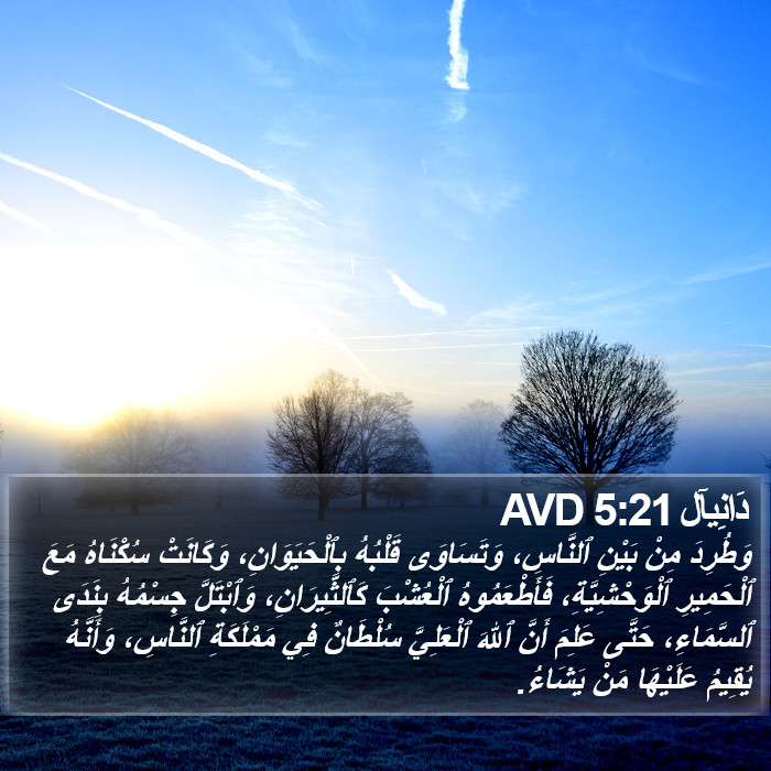 دَانِيآل 5:21 AVD Bible Study