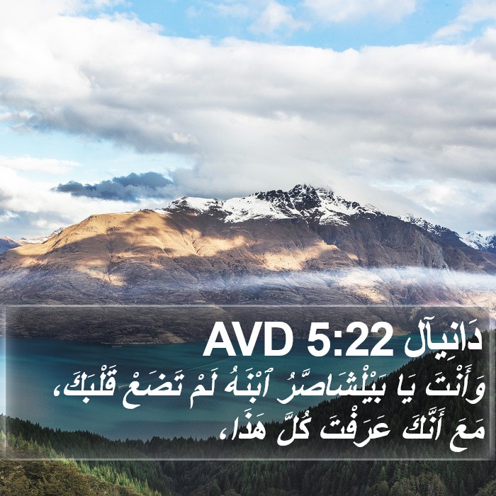 دَانِيآل 5:22 AVD Bible Study