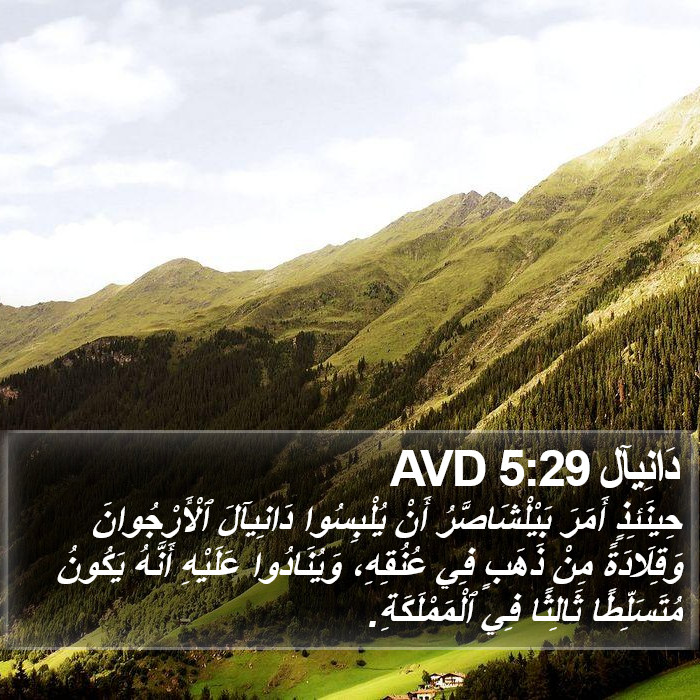 دَانِيآل 5:29 AVD Bible Study