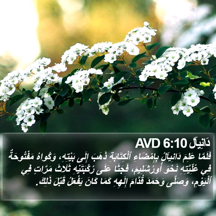 دَانِيآل 6:10 AVD Bible Study