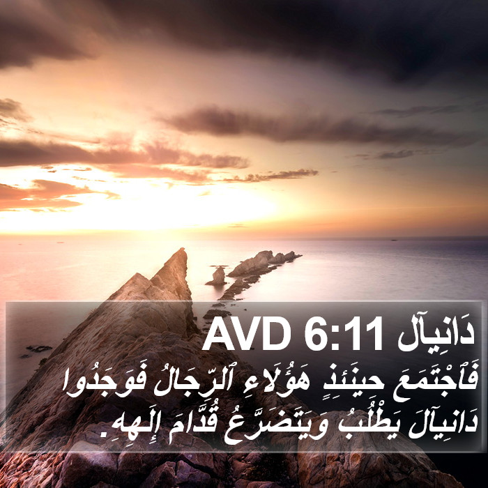دَانِيآل 6:11 AVD Bible Study