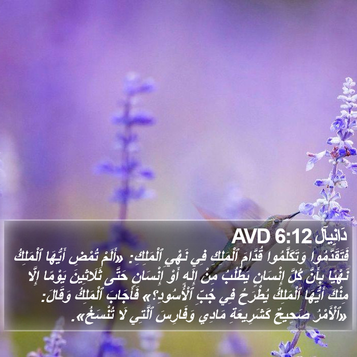 دَانِيآل 6:12 AVD Bible Study