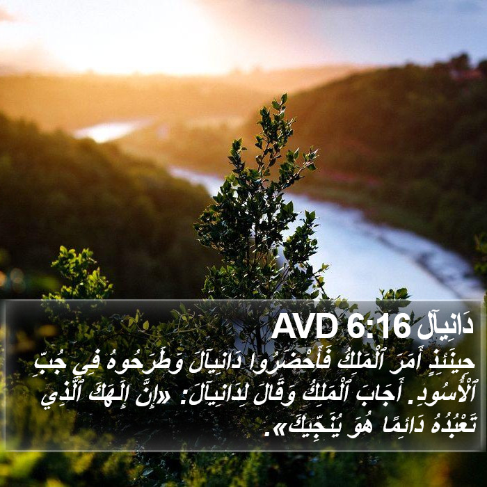 دَانِيآل 6:16 AVD Bible Study