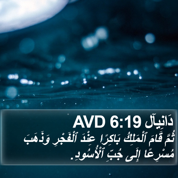دَانِيآل 6:19 AVD Bible Study