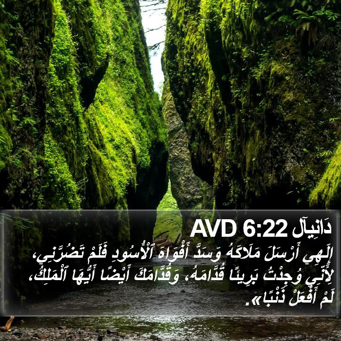 دَانِيآل 6:22 AVD Bible Study