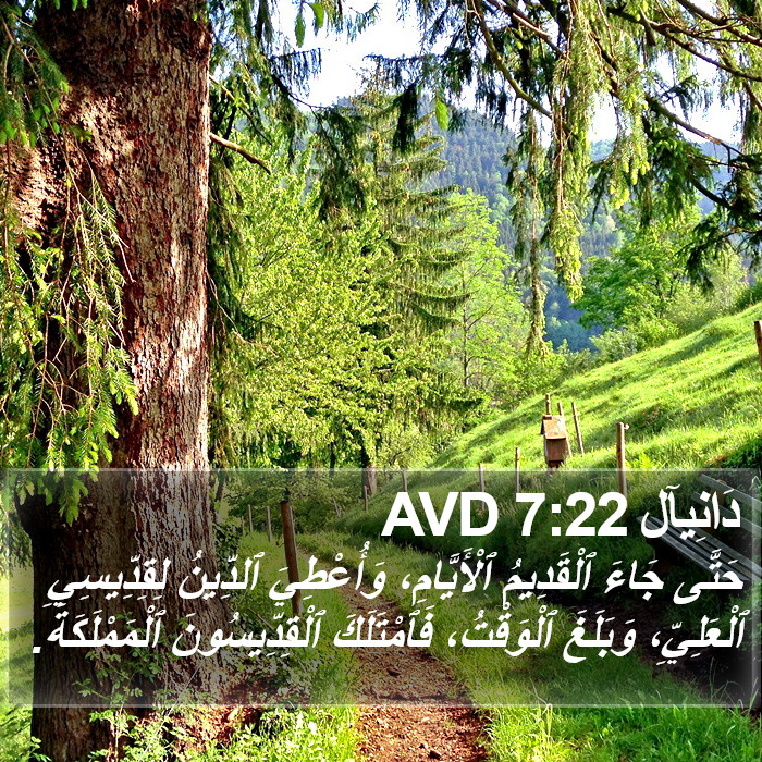 دَانِيآل 7:22 AVD Bible Study