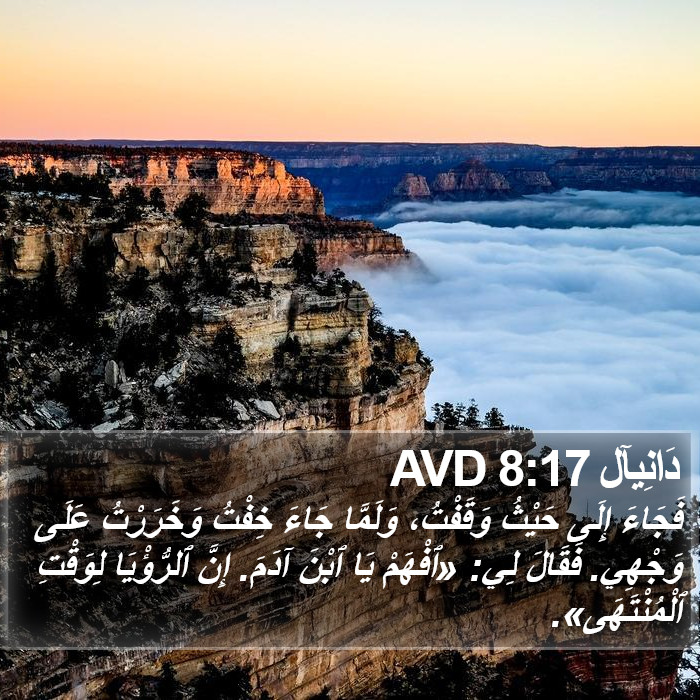 دَانِيآل 8:17 AVD Bible Study