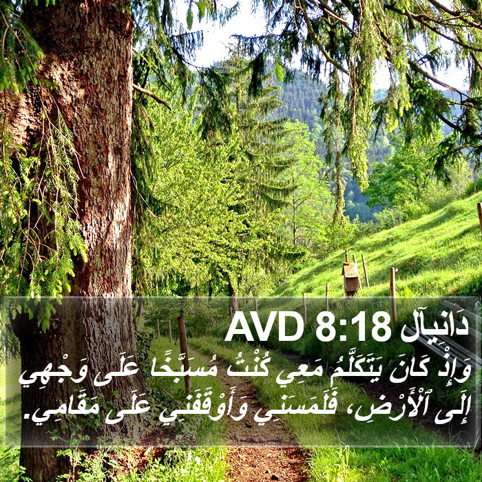 دَانِيآل 8:18 AVD Bible Study