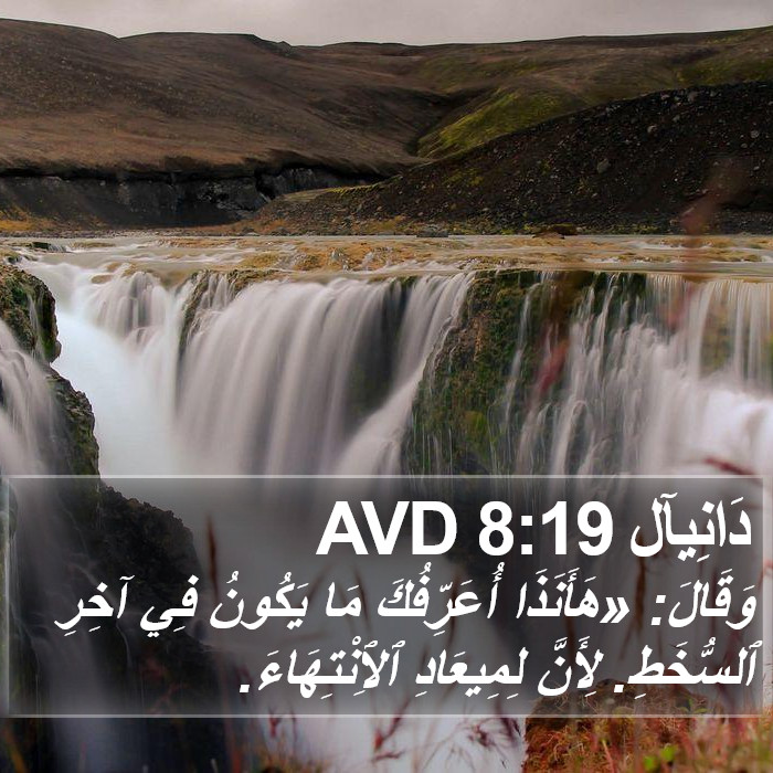 دَانِيآل 8:19 AVD Bible Study