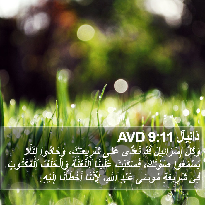 دَانِيآل 9:11 AVD Bible Study