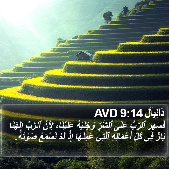 دَانِيآل 9:14 AVD Bible Study