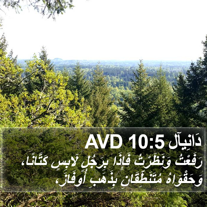 دَانِيآل 10:5 AVD Bible Study