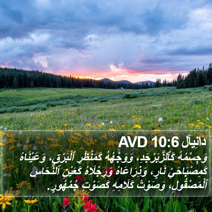 دَانِيآل 10:6 AVD Bible Study