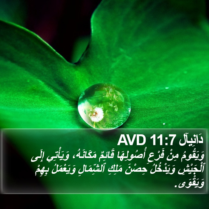 دَانِيآل 11:7 AVD Bible Study