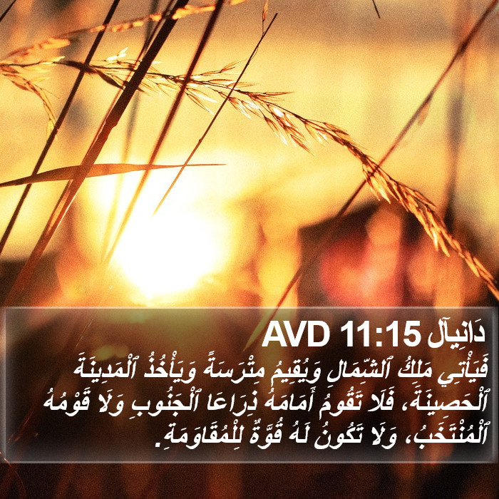 دَانِيآل 11:15 AVD Bible Study