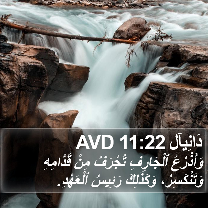 دَانِيآل 11:22 AVD Bible Study