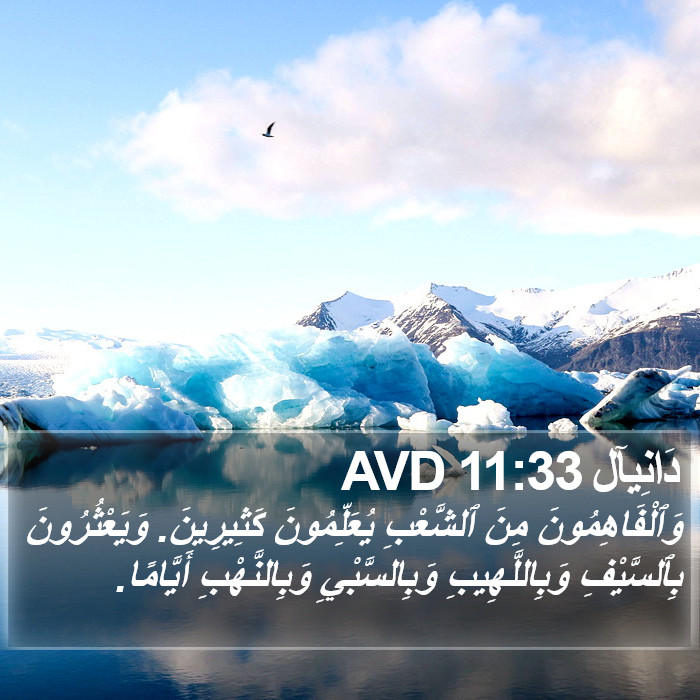 دَانِيآل 11:33 AVD Bible Study
