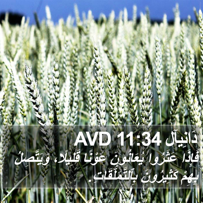 دَانِيآل 11:34 AVD Bible Study