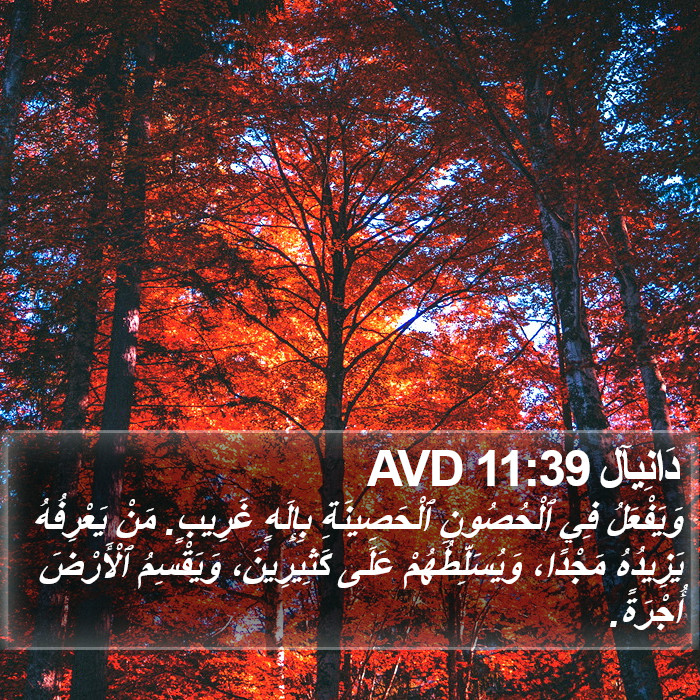 دَانِيآل 11:39 AVD Bible Study