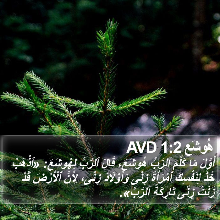 هُوشَع 1:2 AVD Bible Study