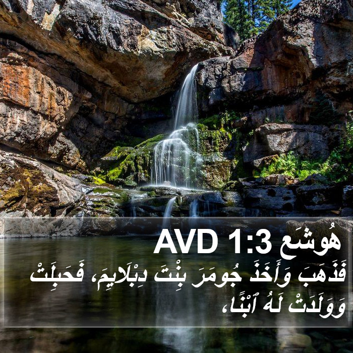 هُوشَع 1:3 AVD Bible Study