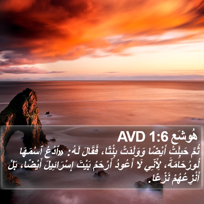 هُوشَع 1:6 AVD Bible Study