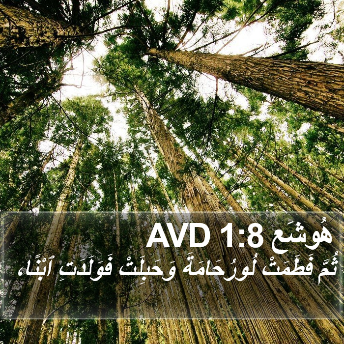 هُوشَع 1:8 AVD Bible Study